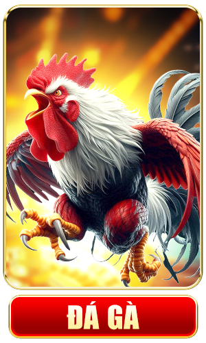 Đá Gà New88