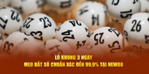 Lô Khung 3 Ngày - Mẹo Bắt Số Chuẩn Xác Đến 99,9% Tại New88