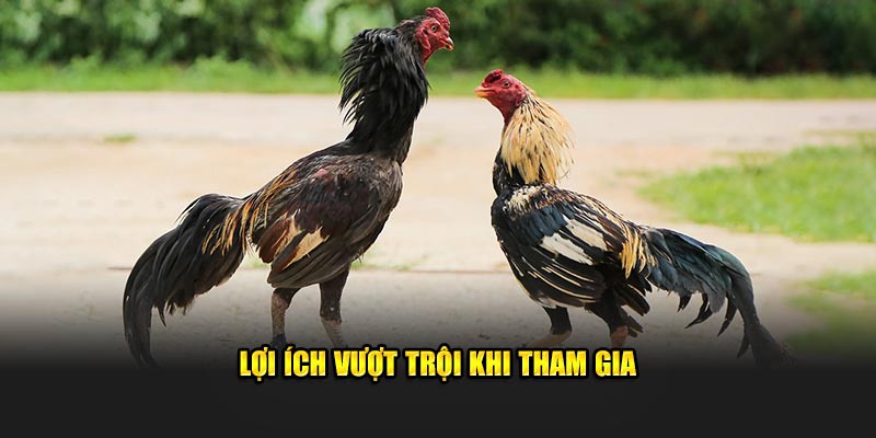 Lợi ích vượt trội khi tham gia 